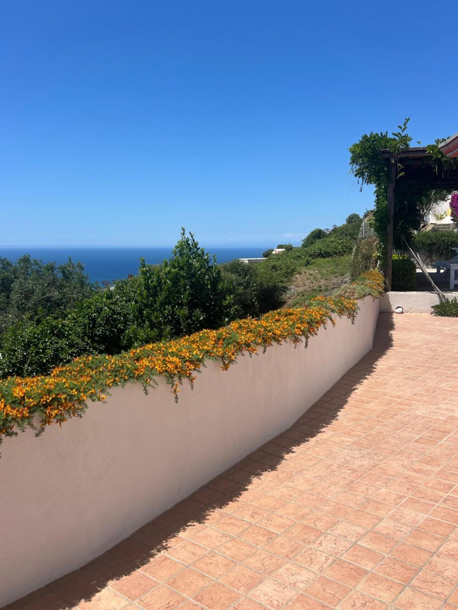 Villa Inarime Ischia Eksteriør billede
