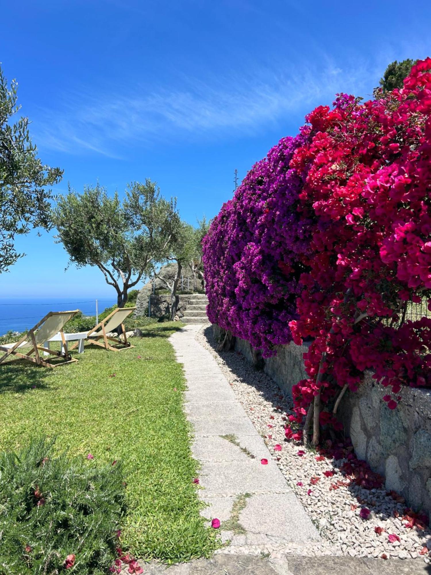 Villa Inarime Ischia Eksteriør billede