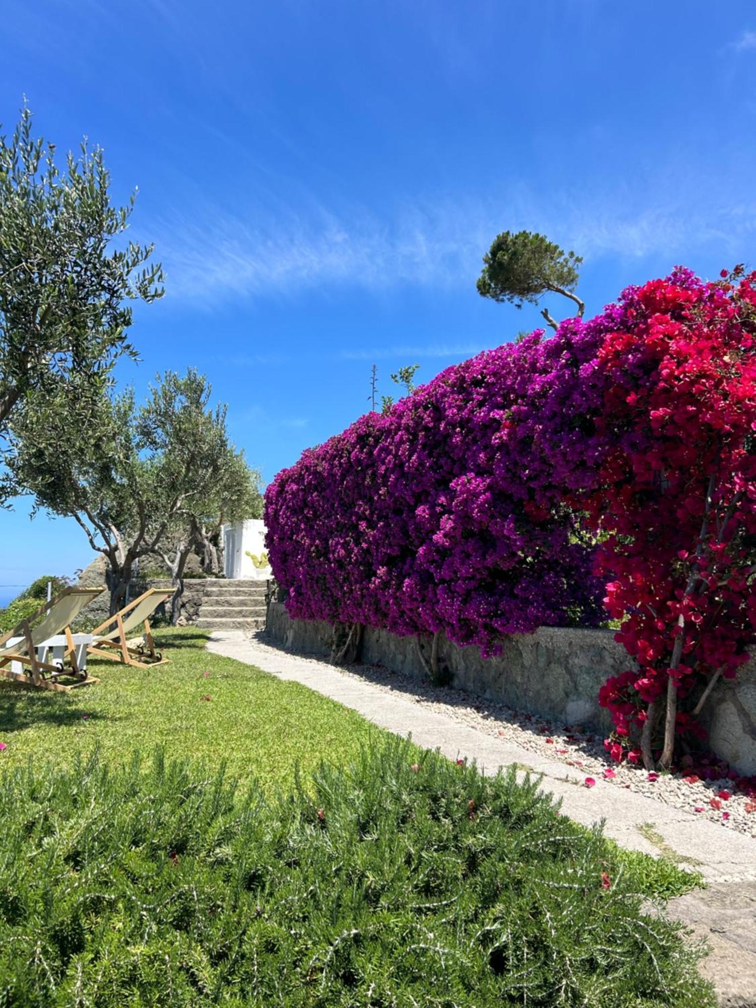 Villa Inarime Ischia Eksteriør billede