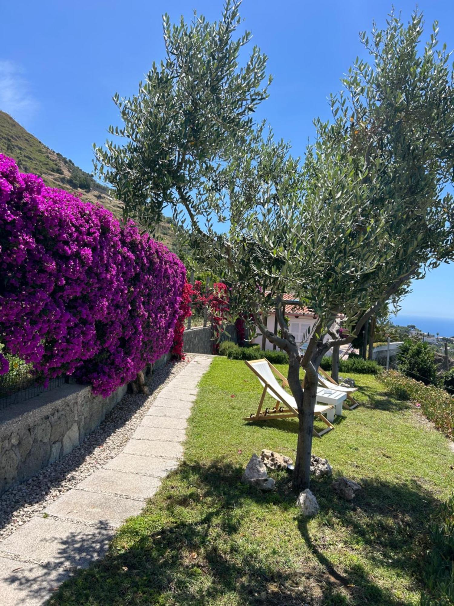 Villa Inarime Ischia Eksteriør billede