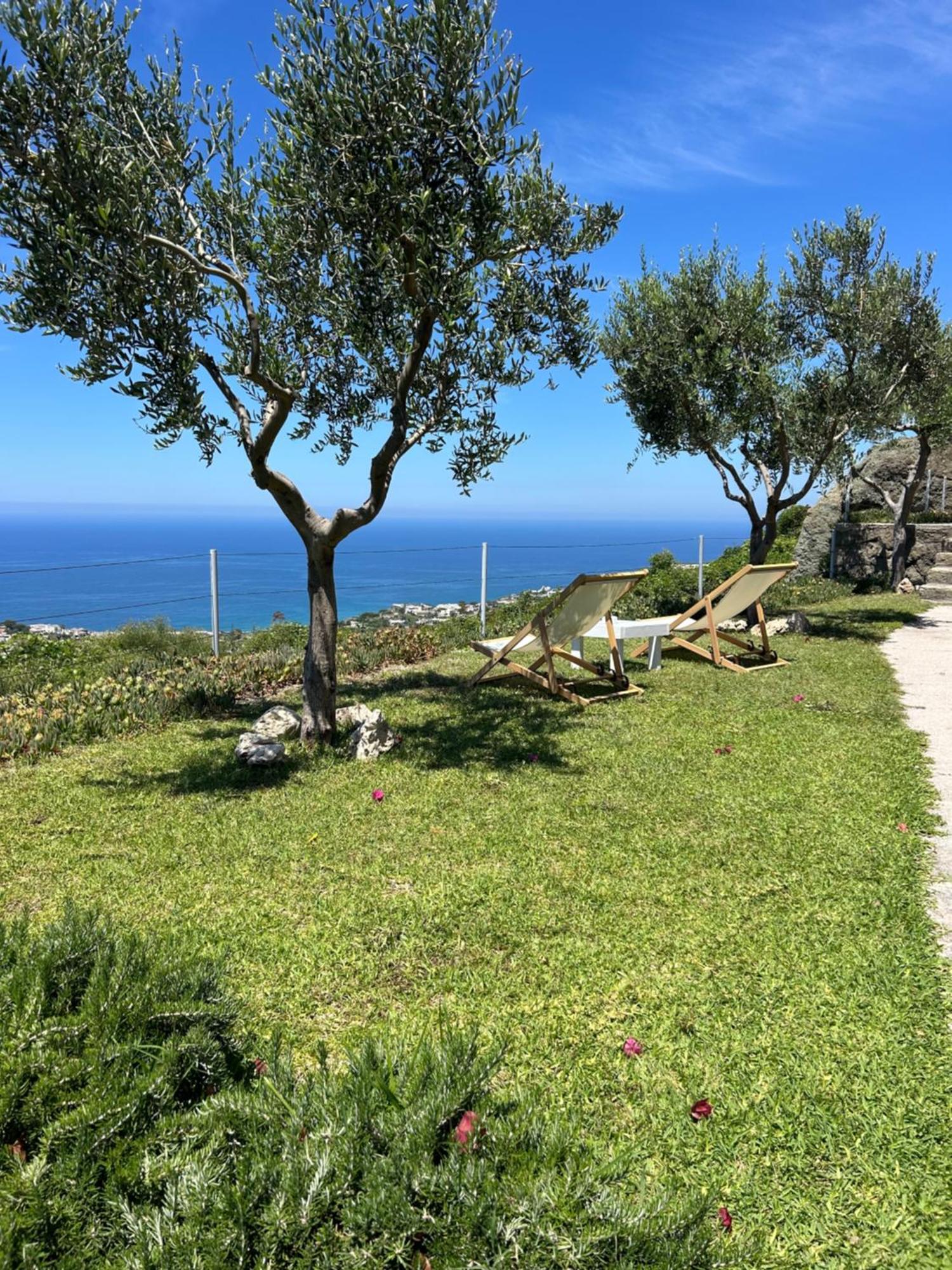 Villa Inarime Ischia Eksteriør billede